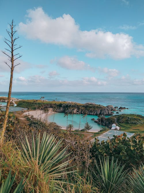 Tropical Bay on Sea Coast