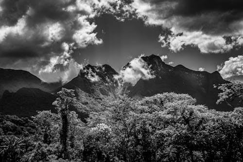 Foto stok gratis alam, awan, hitam & putih