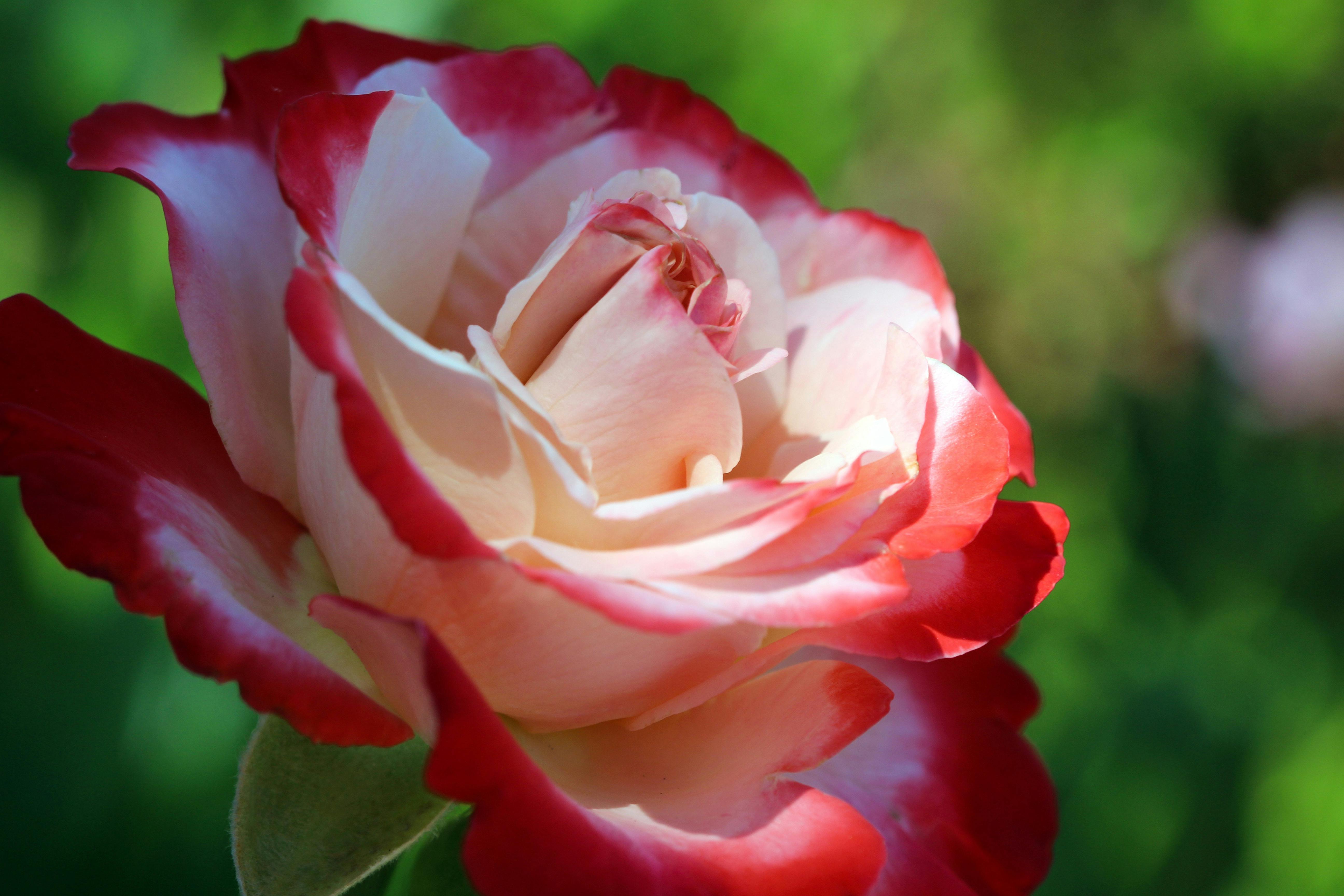 SUP Touring: Best Paddleboard Routes 2026