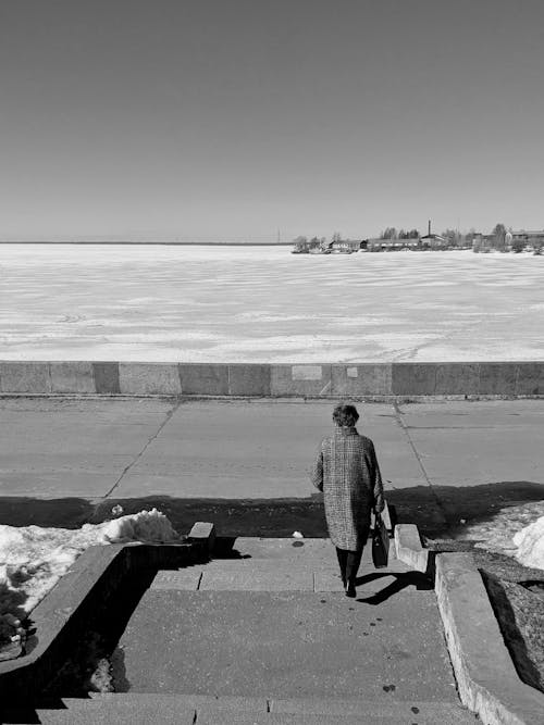 Immagine gratuita di bianco e nero, camminando, congelato