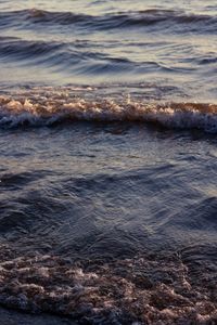 Cover of Low Tide, Rising — photo by Feyza Daştan on Pexels