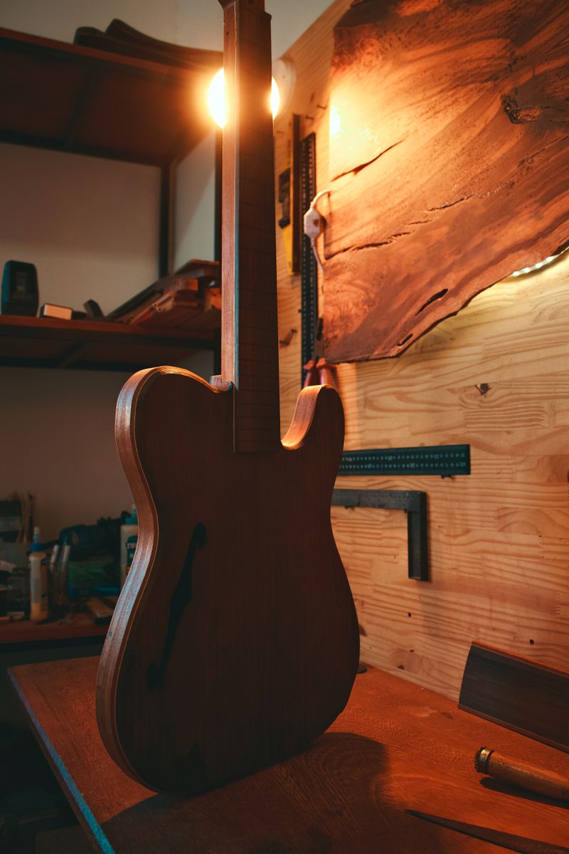 Luthier / Luthière