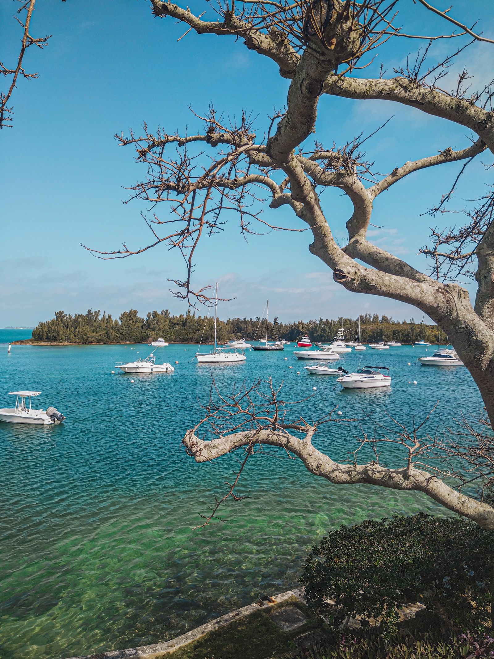 Catamaran sur lagon turquoise — Nord — Île Maurice — photo 3