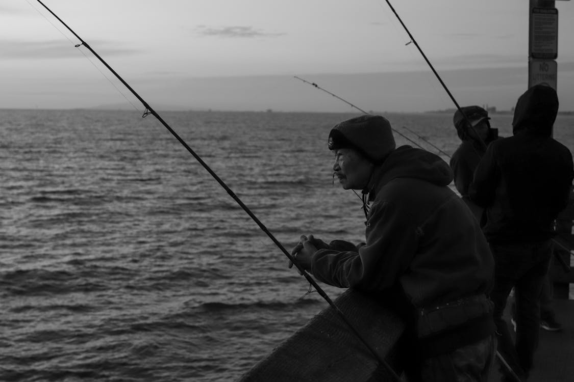 Fotos de stock gratuitas de blanco y negro, cañas de pescar, costa