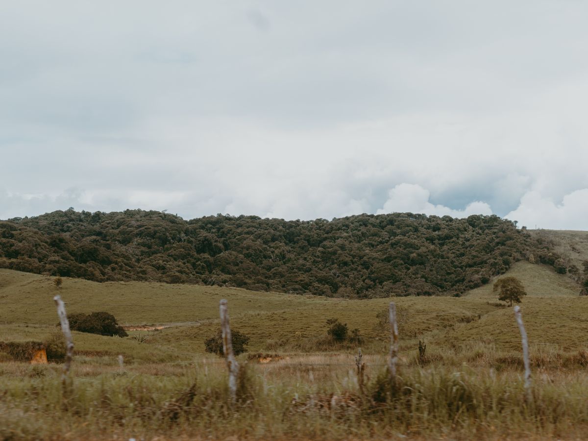 5 Day Elemental Harmony: Yin Yoga Teacher Training in Nicaragua 1