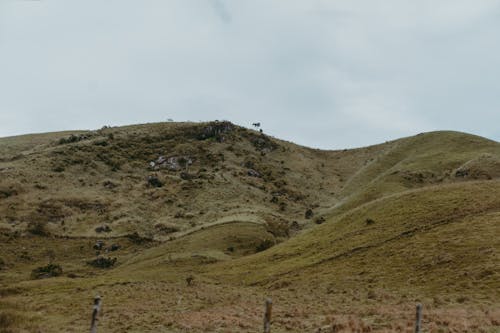 Photos gratuites de campagne, colline, nature