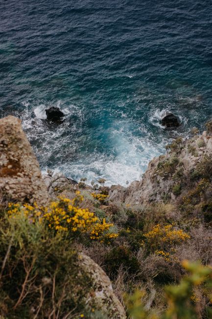 A stunning view of waves crashing against rocky cliffs adorned with wildflowers.