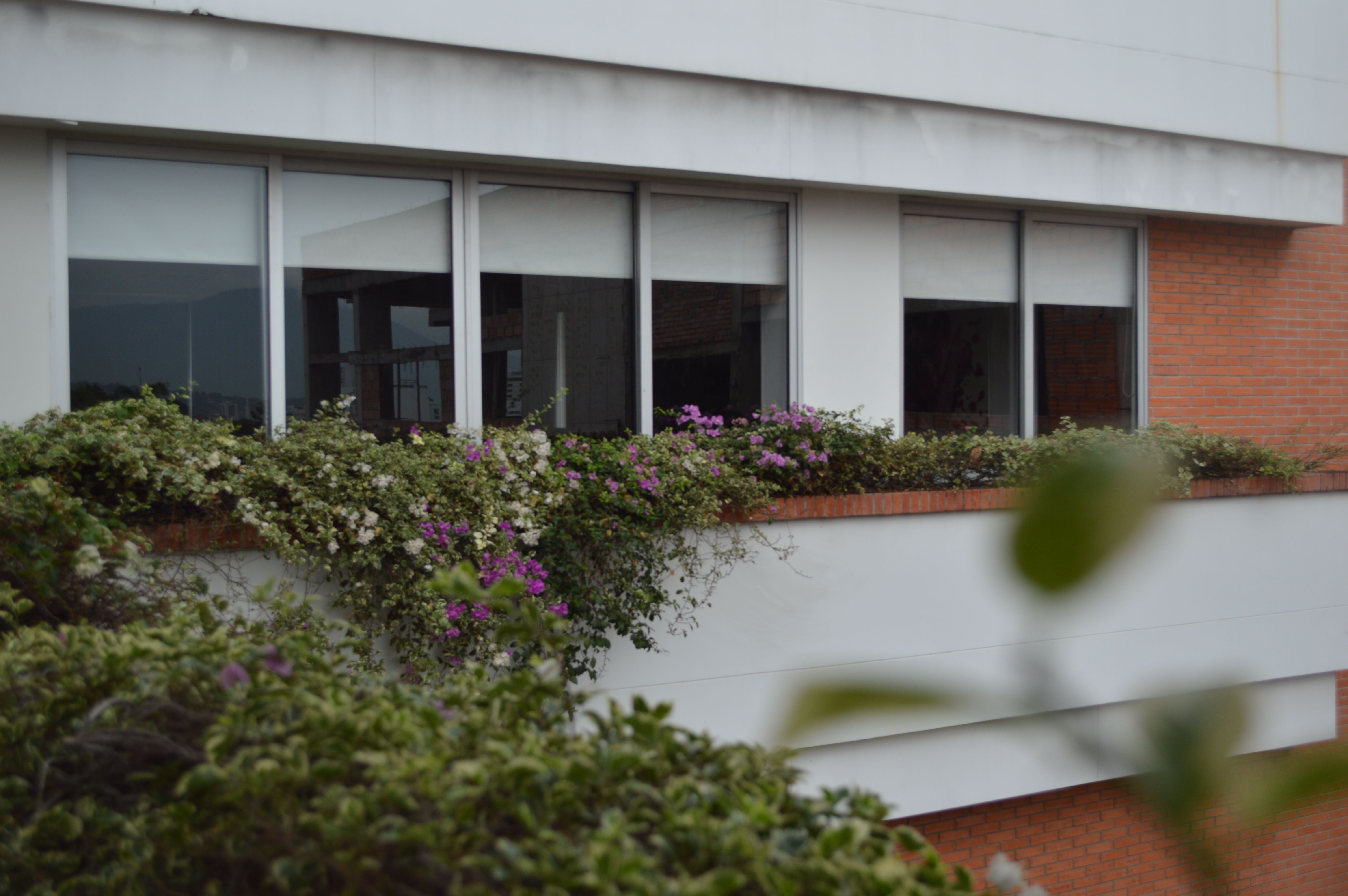 business,maintenance,office,team,lawn