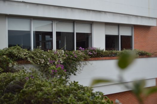 Urban building exterior with flowers adorning windowsills, providing a vibrant summer vibe.