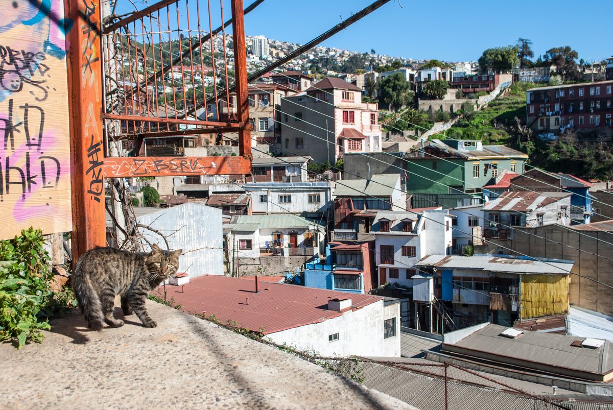 Stairway climbing between hillside houses in Valparaiso, photo by Cristian Salinas Cisternas on Pexels