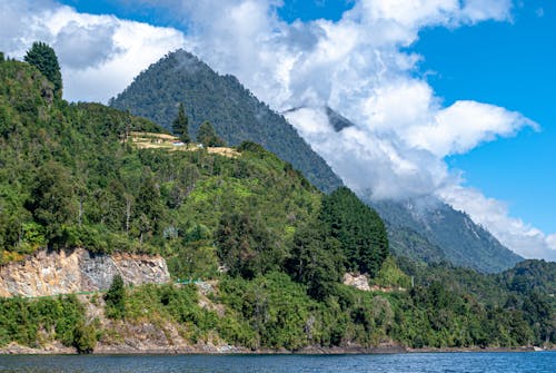 Бесплатное стоковое фото с горный хребет, горы, деревья