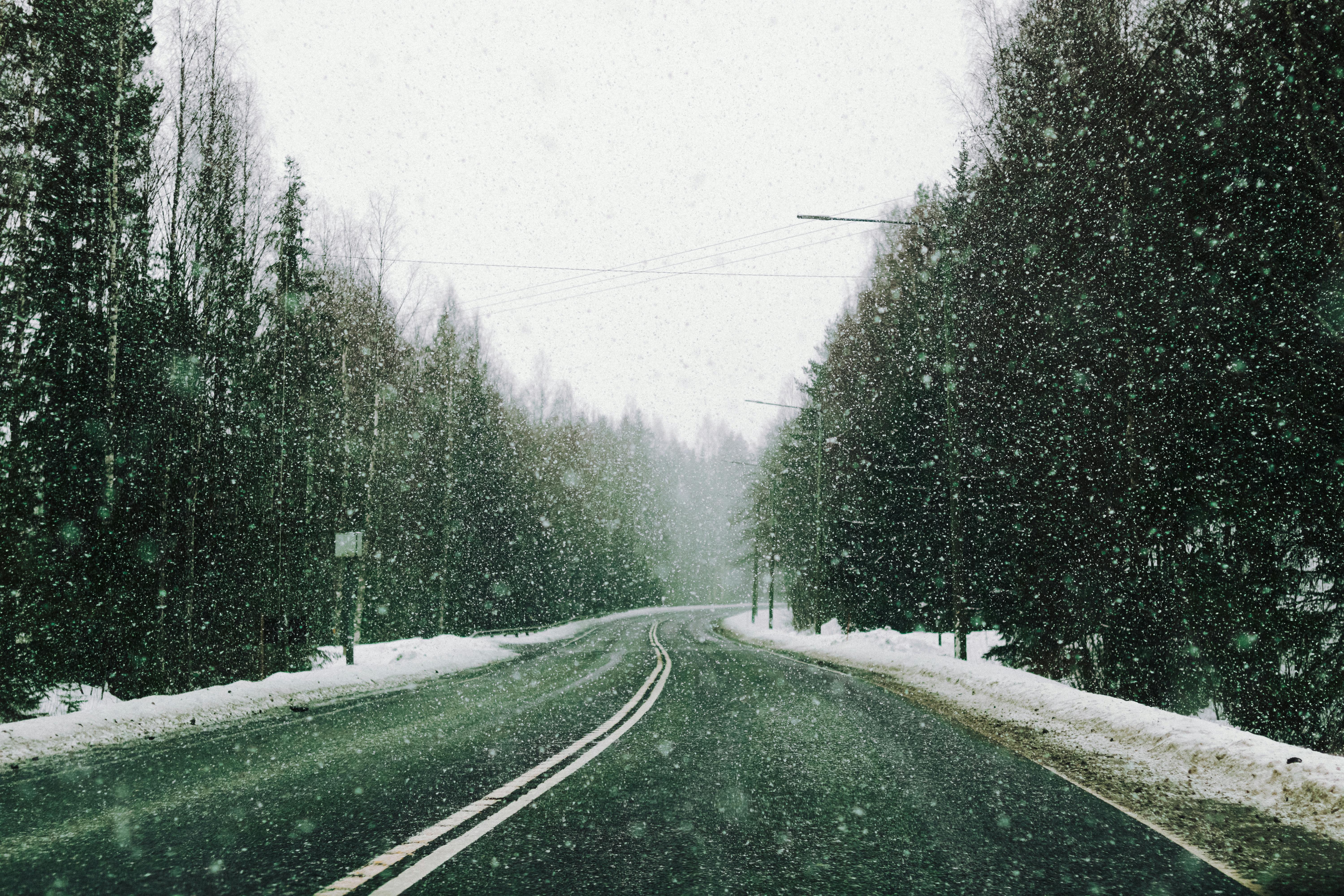 A tranquil snowy road winding through a dense winter forest during a snowfall. Ideal for seasonal and nature themes.