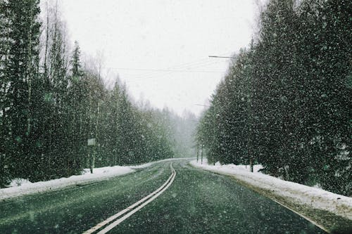 冬季, 冷, 森林 的 免費圖庫相片