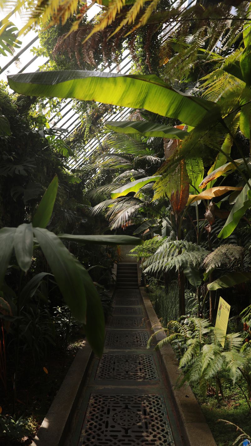 Indoor & foliage