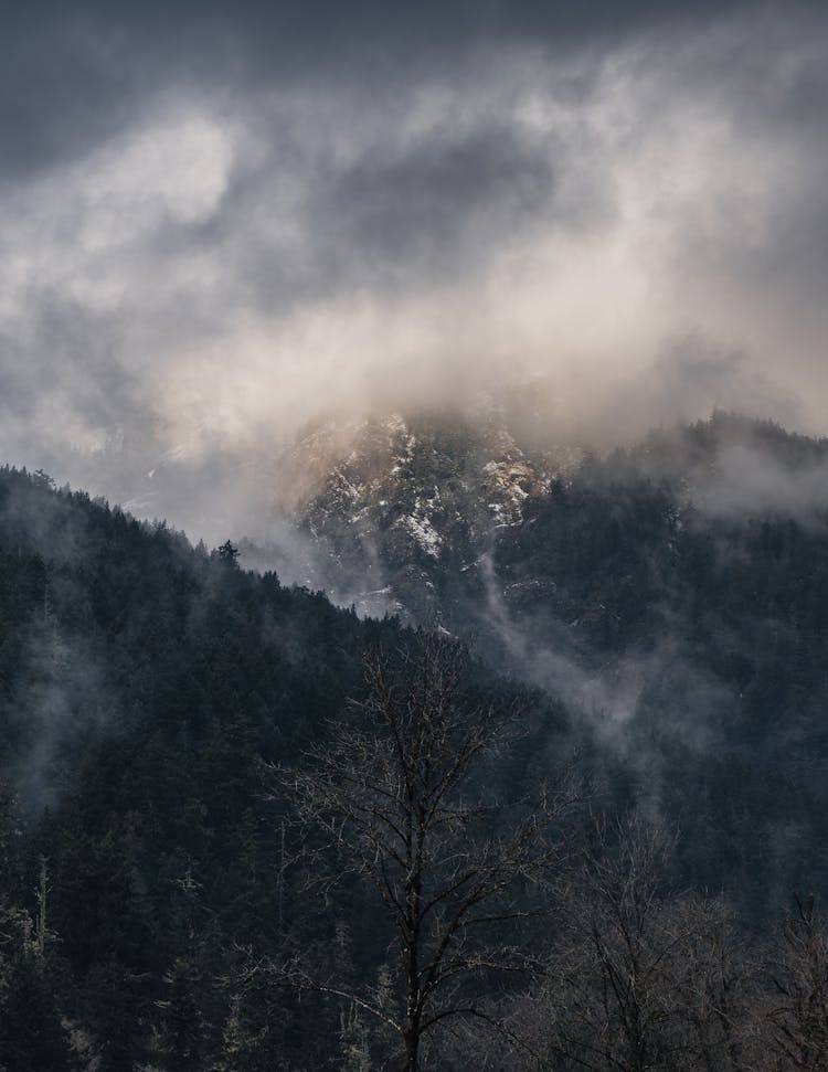 Cloud Over Forest In Mountains