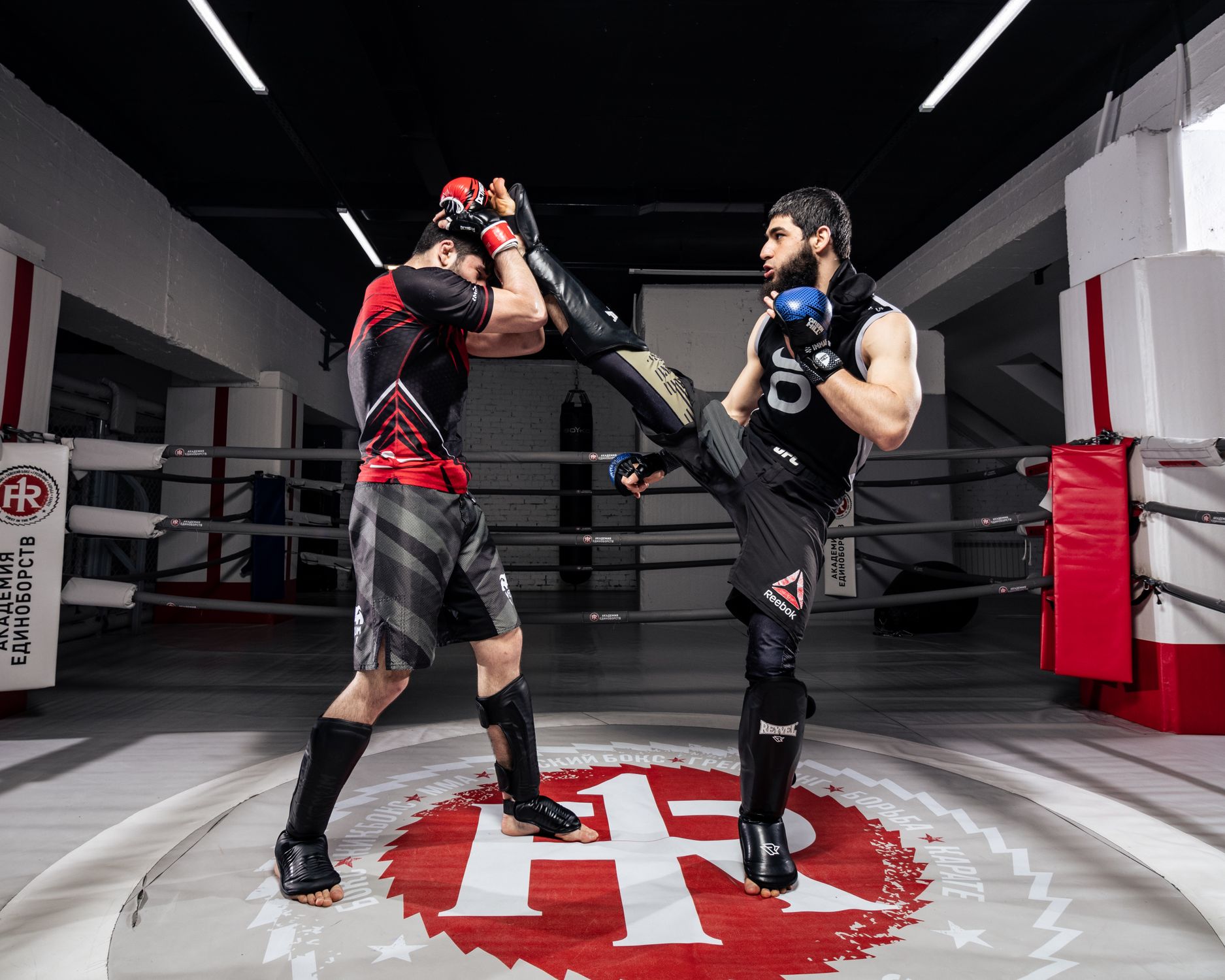Men Training Kickboxing In Ring Free Stock Photo men-training-kickboxing-in-ring-free-stock-photo