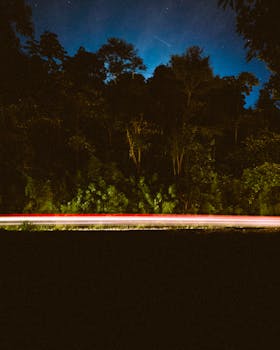 Captivating night forest scene with vibrant light trails and starry sky, showcasing dynamic motion.