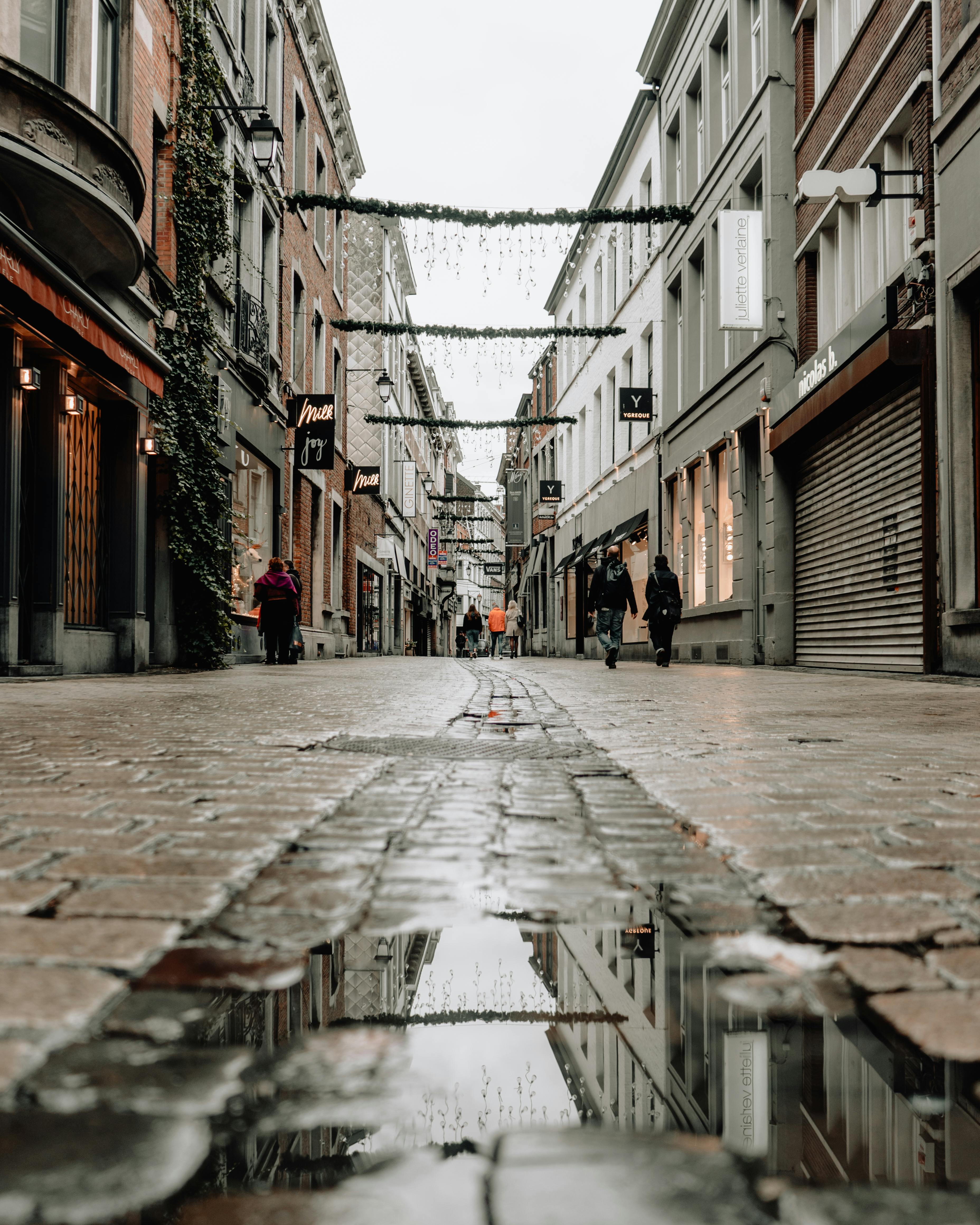 people walking on street