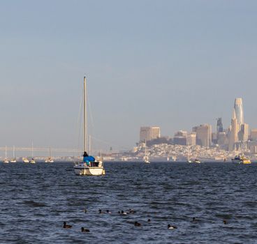 A sailboat navigates the waters of San Francisco Bay, showcasing the city's skyline.
