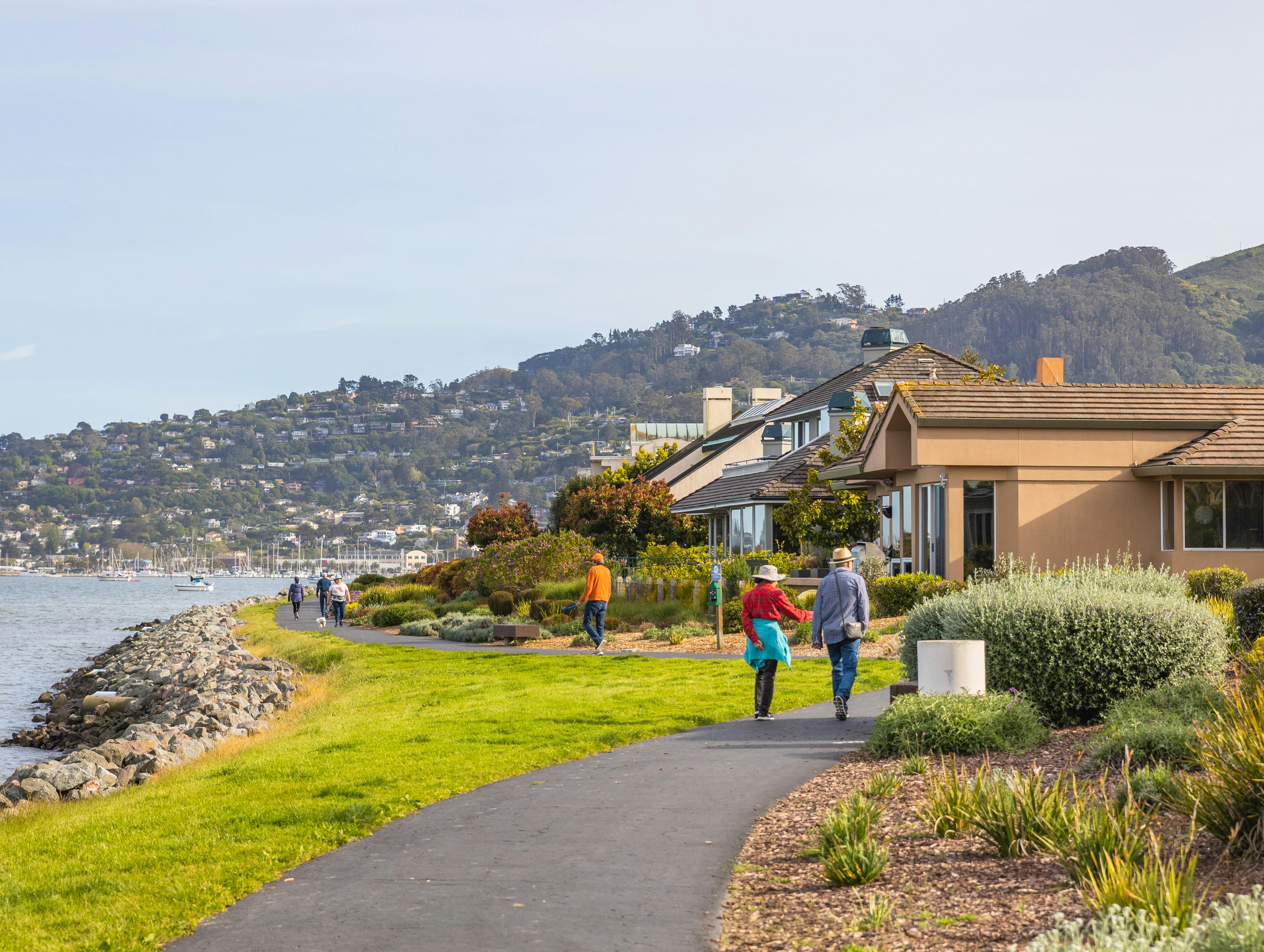The best real estate brokers in the Bay Area — Photo by Robert So on Pexels
