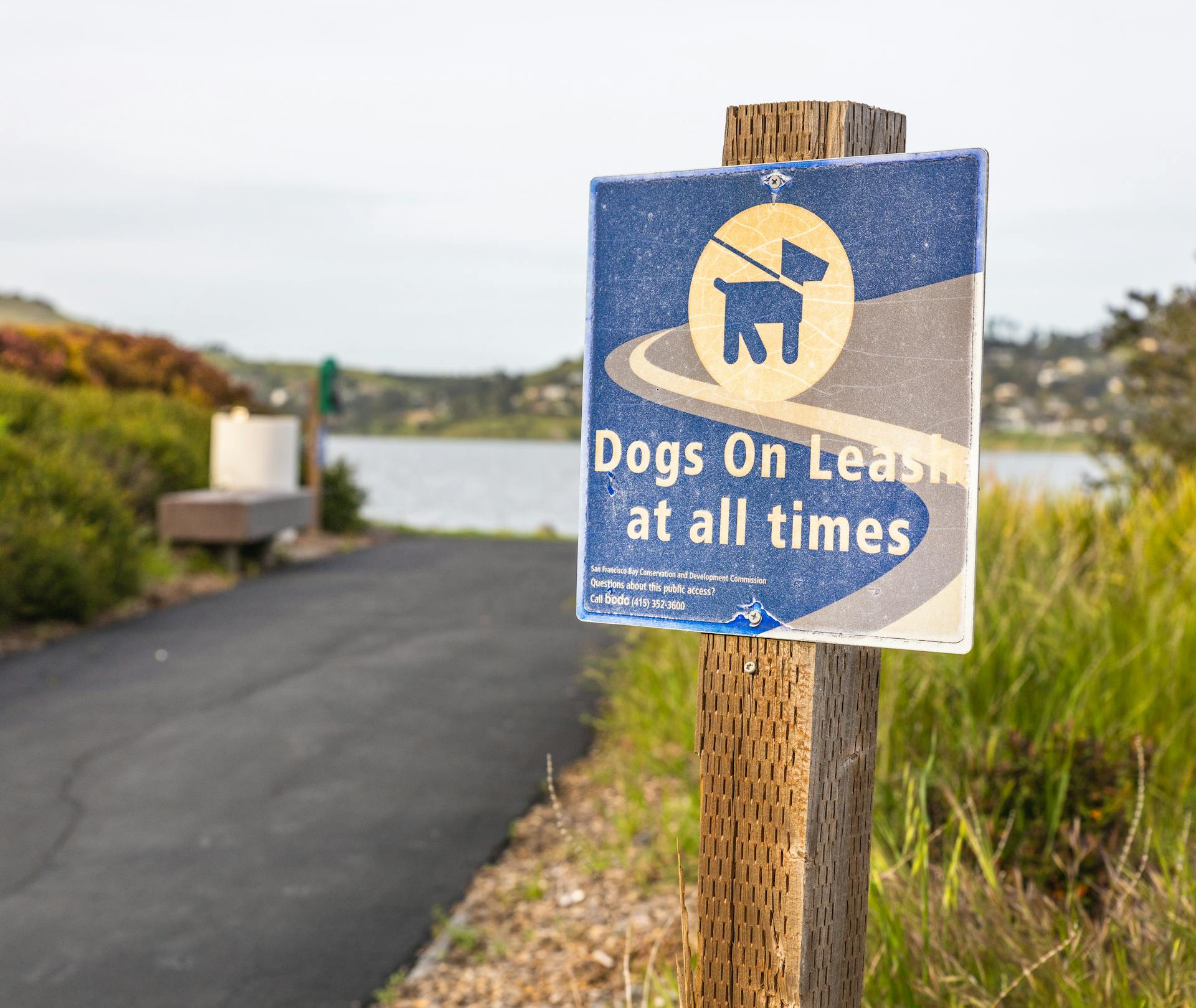 A Warning Sign by the Road