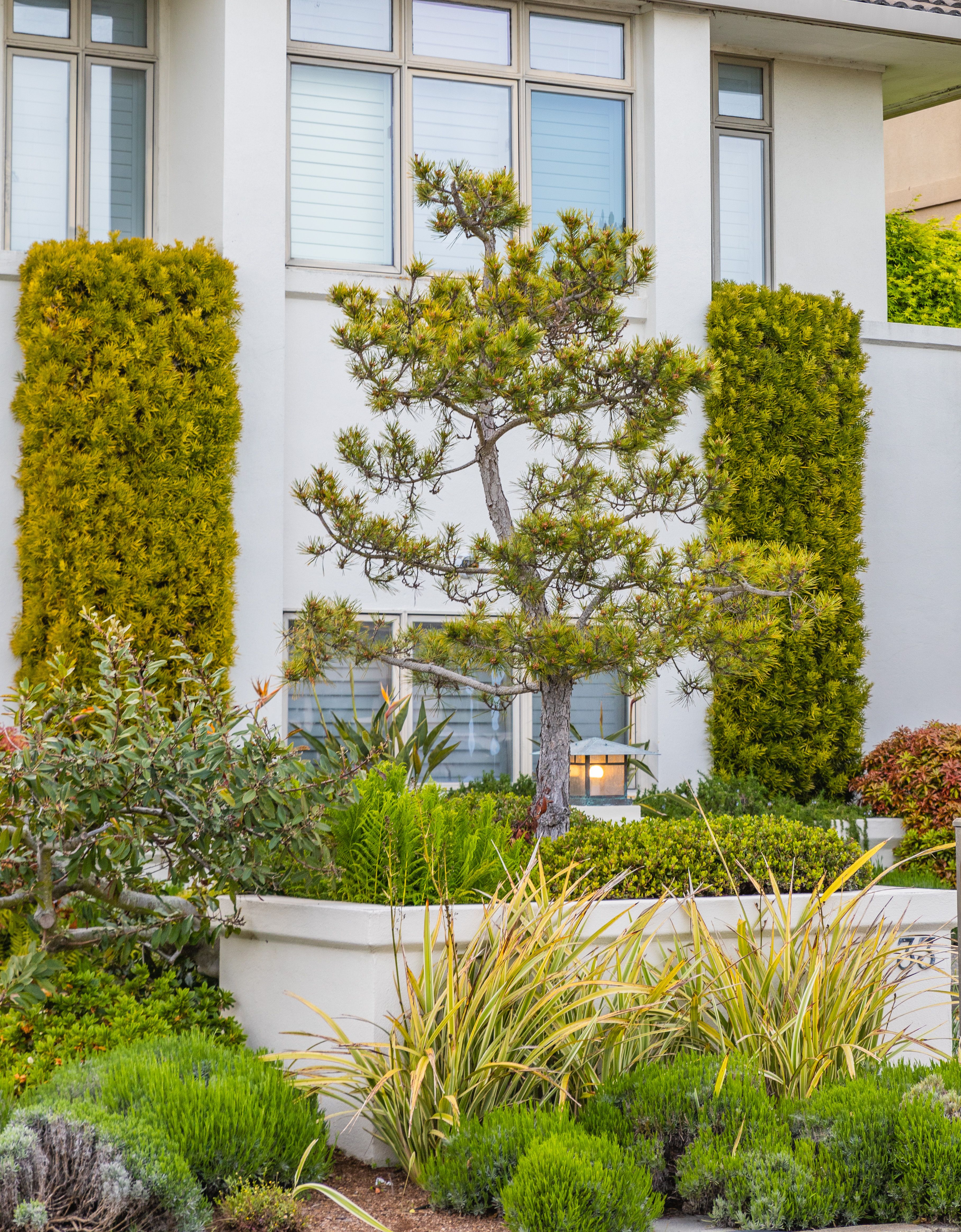 Garden with Plants near House · Free Stock Photo