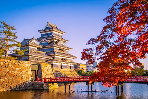 Foto profissional grátis de árvores, castelo, castelo de matsumoto