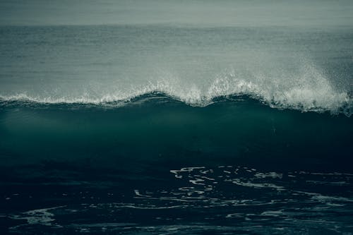 Foto d'estoc gratuïta de , fent surf, fer surf