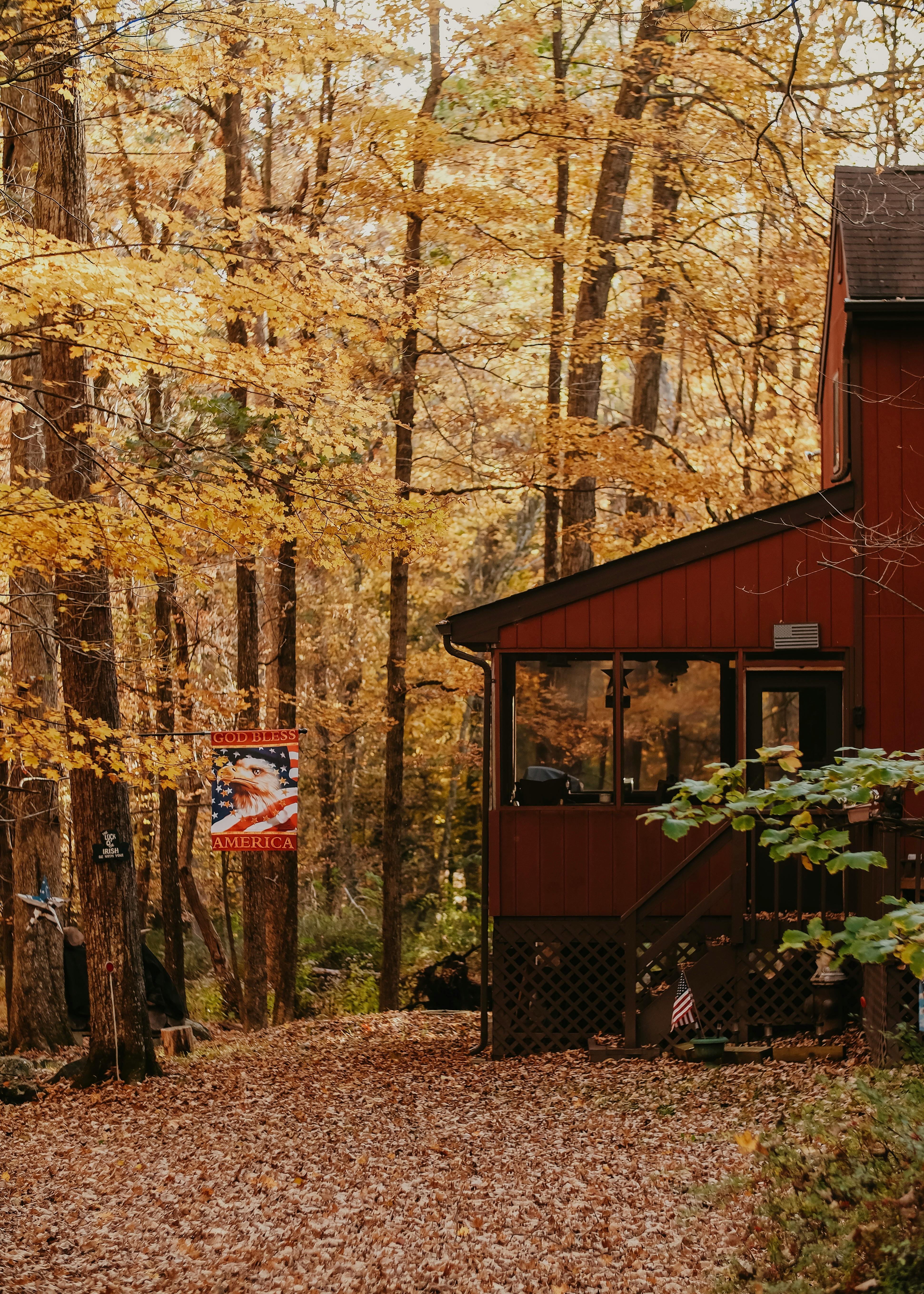 Yellow Trees near House in Forest in Autumn · Free Stock Photo