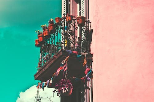 Základová fotografie zdarma na téma balkon, budova, květiny
