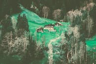 瑞士格林德瓦尔德郁郁葱葱的高山森林中坐落着一座传统瑞士小屋，风景优美