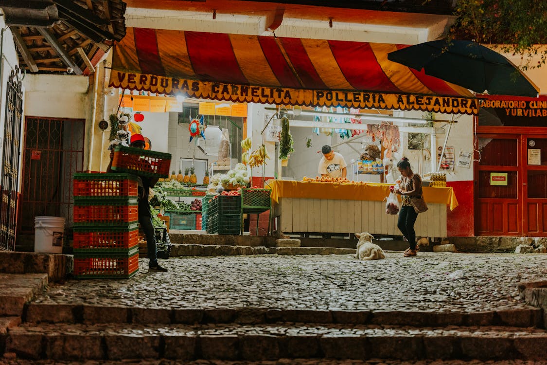 Free Grocery Market Stall in Lisbon Stock Photo