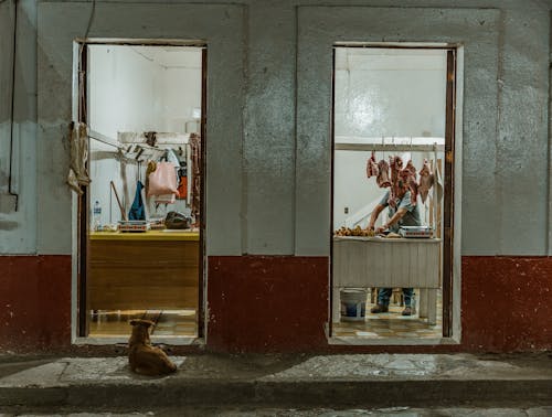 Butcher Shop in Lisbon