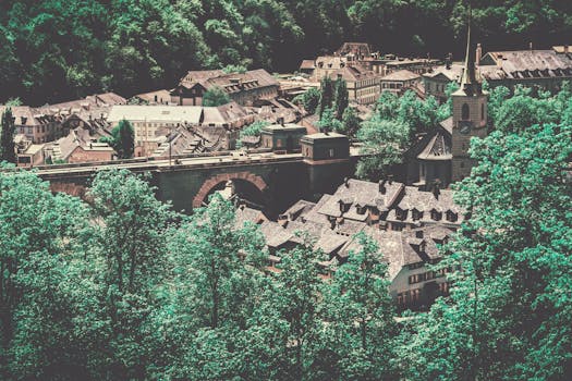 瑞士伯尔尼的迷人鸟瞰图，凸显了历史建筑和郁郁葱葱的绿色植物