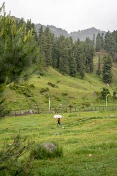 A scenic landscape in Pahalgam featuring a woman walking with an umbrella through lush green hills.