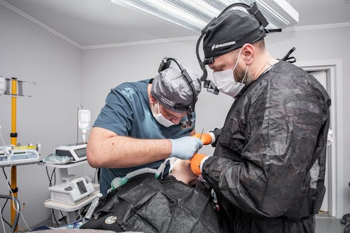 Foto d'estoc gratuïta de atenció sanitària, cirurgians, homes