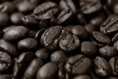 Close up of Coffee Beans