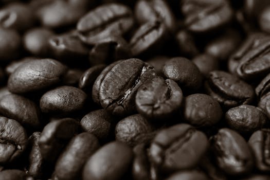 Detailed close-up of roasted coffee beans, highlighting texture and rich brown color.