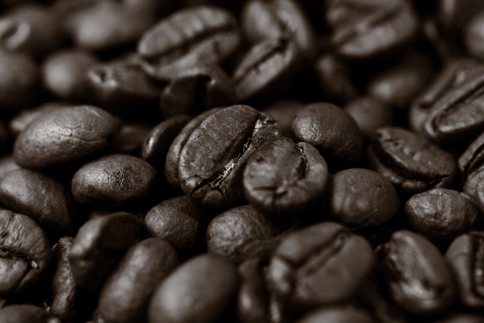 Dark roasted coffee beans — photo by Mitchell Henderson on Pexels