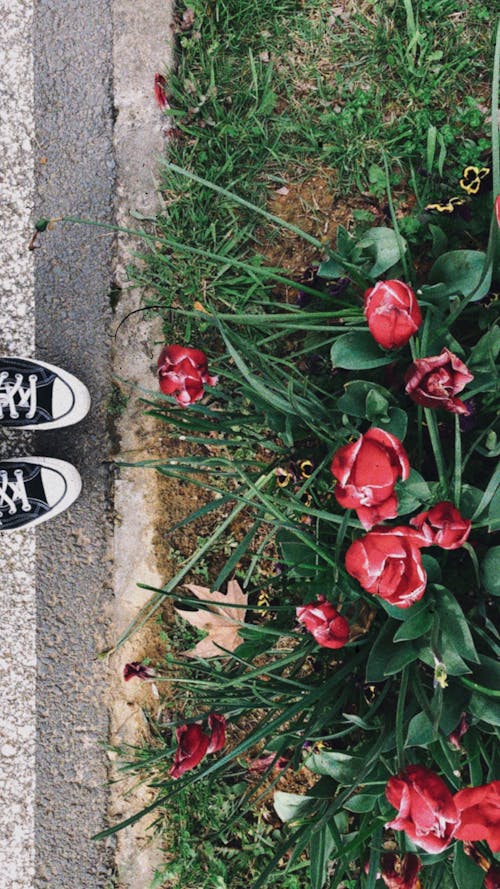 Flowers and Shoes on Ground