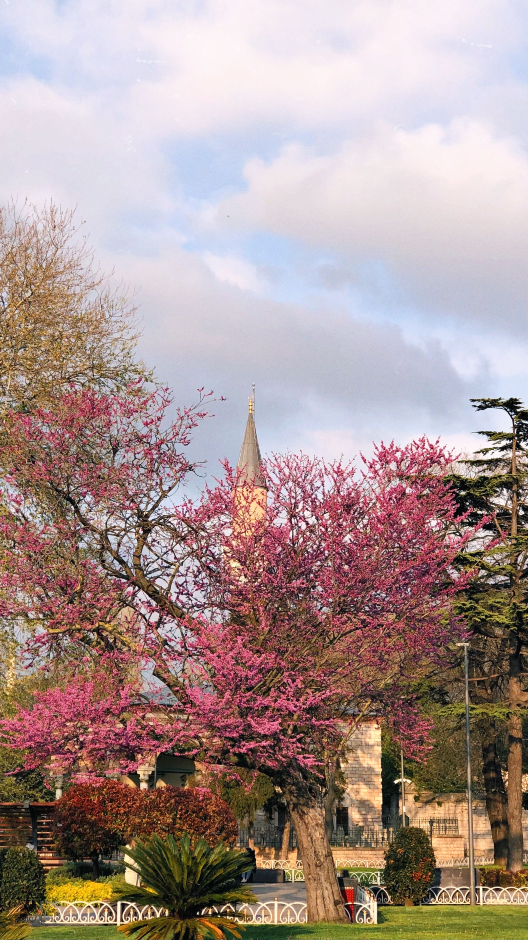 A serene park setting featuring blossoming trees and a distant minaret against a cloudy sky.