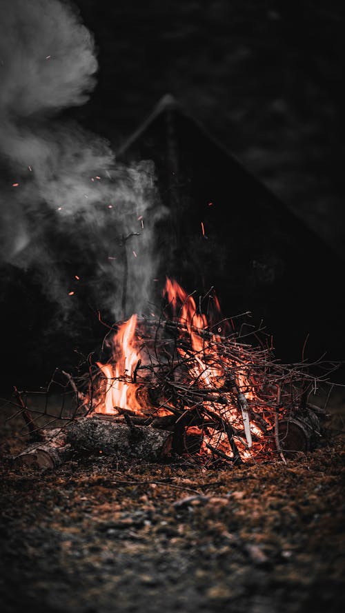 Campfire in Wet Forest