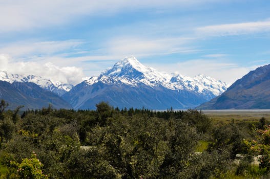 Breathtaking view of snow-capped Mount Cook surrounded by lush greenery in Canterbury, New Zealand.