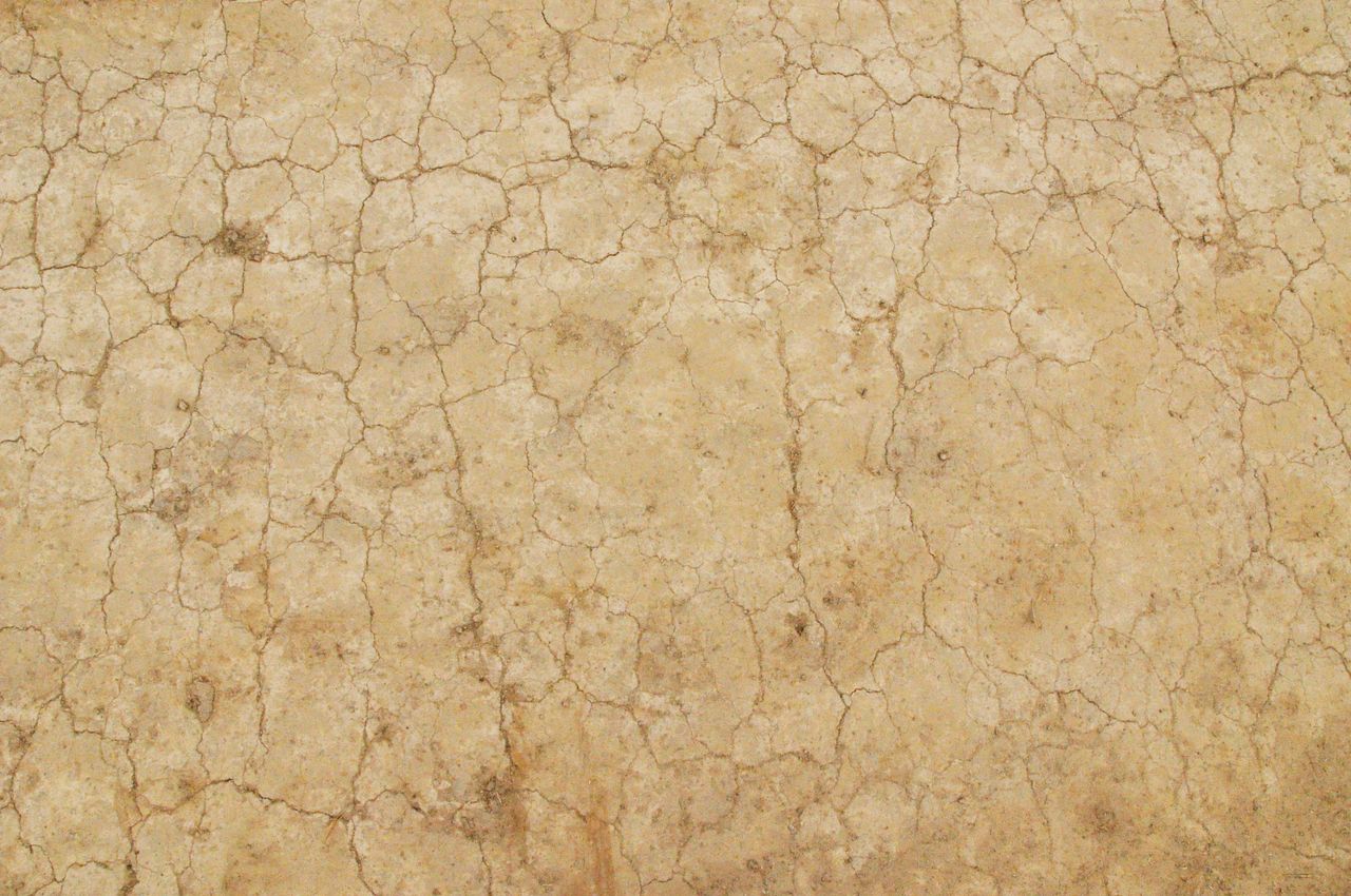 close up of cracked beige earth texture suitable for backgrounds and d