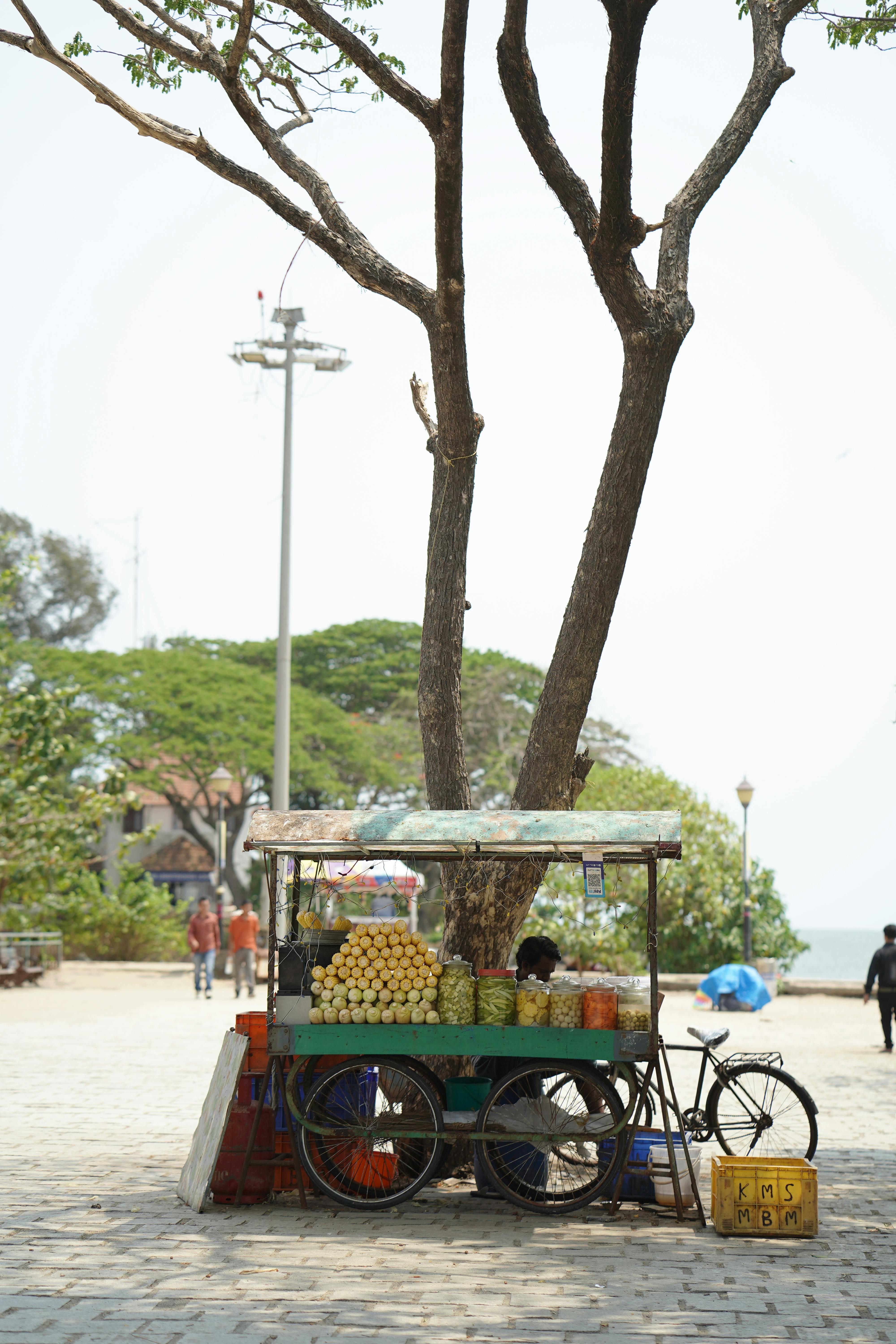 Seaside Sales Photos, Download The BEST Free Seaside Sales Stock Photos