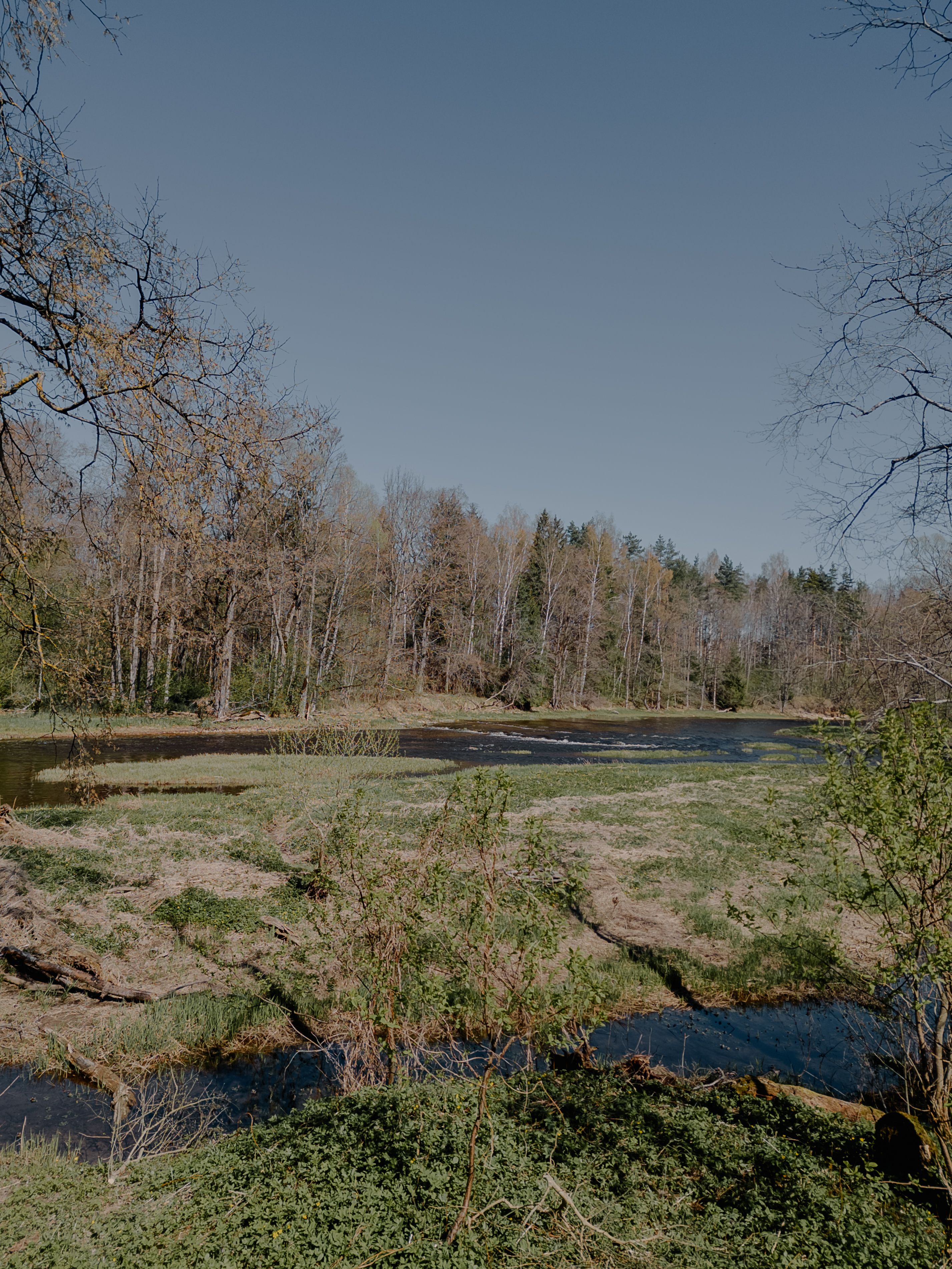 River and Forest under Clear Sky · Free Stock Photo