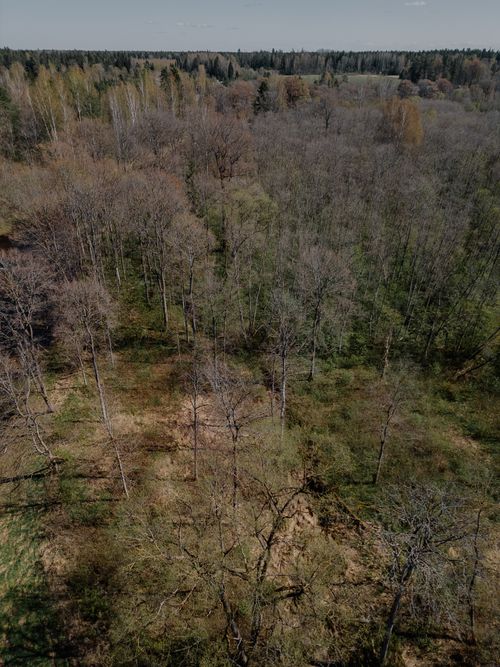 Free Explore the aerial view of a serene autumn forest in Zaķumuiža, Latvia. Stock Photo