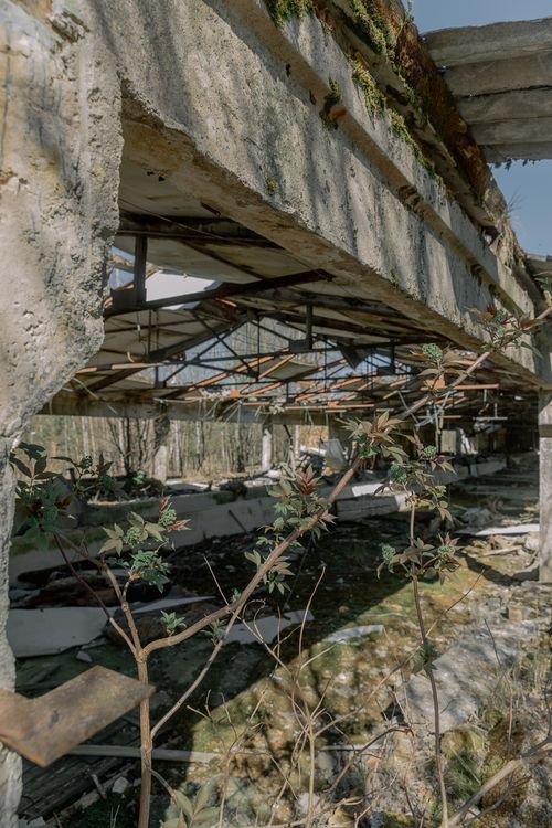 Free An overgrown abandoned industrial building showing decay and nature's reclaim. Stock Photo