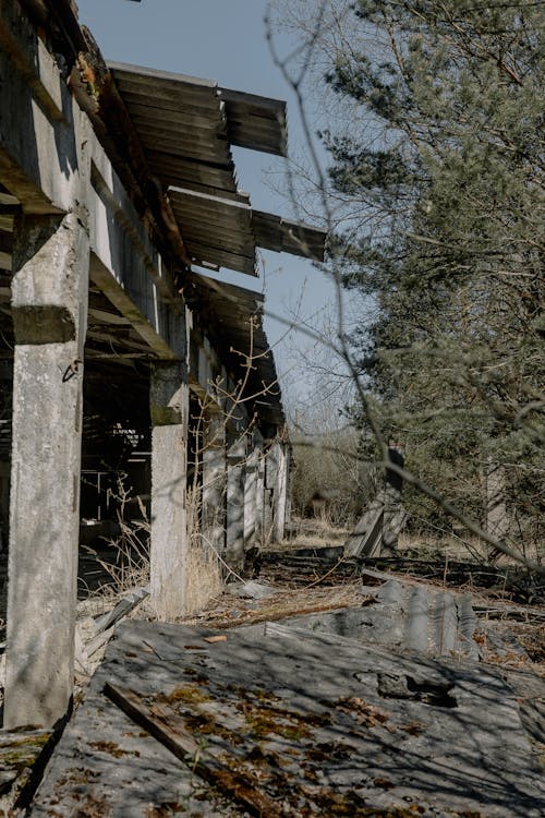 垂直拍摄, 廢墟, 忽視 的 免费素材图片
