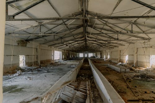 Foto profissional grátis de abandonado, armazém, calamidade